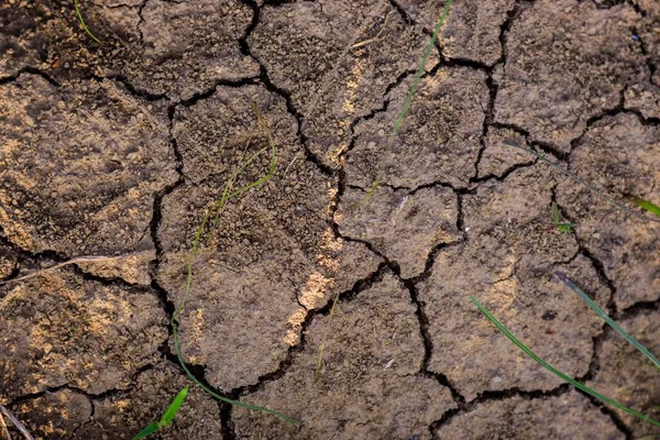 質感のある土壌の背景のクローズアップショット — ストック写真