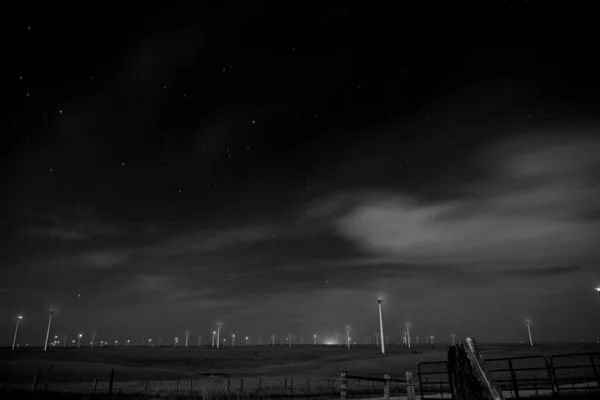 夜の自然の風景のグレースケールショット — ストック写真