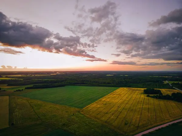 Aerial View Field Sunset — Stock Photo, Image