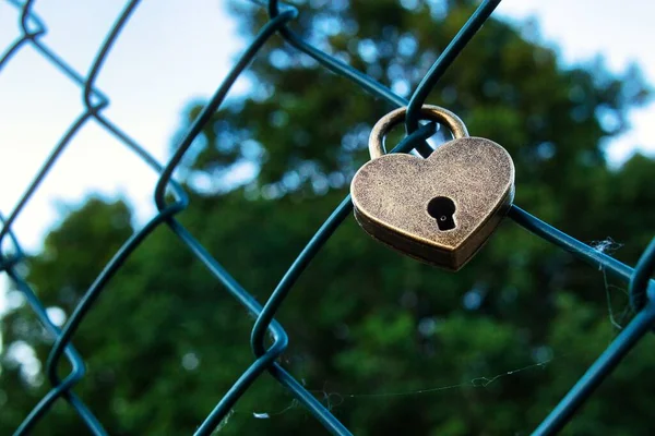 Closeup Heart Shaped Lock Mesh Fence — Stock Photo, Image