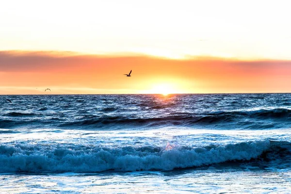 夕日の波の海の上を飛ぶ鳥の美しいショット — ストック写真