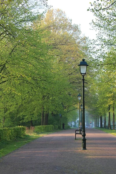 公園の路地に並ぶ古典的な街灯の列 — ストック写真