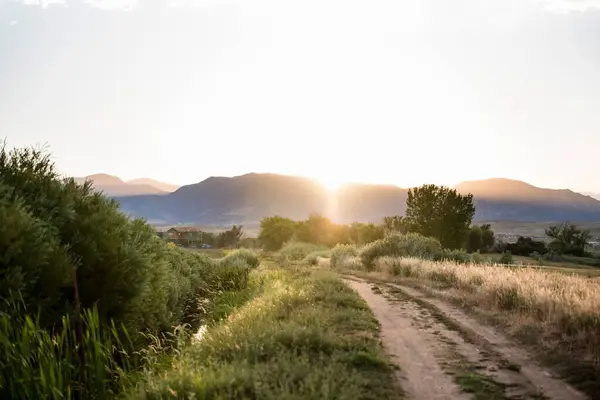 夕暮れ時の野生の風景に囲まれた未舗装の道の美しいショット — ストック写真