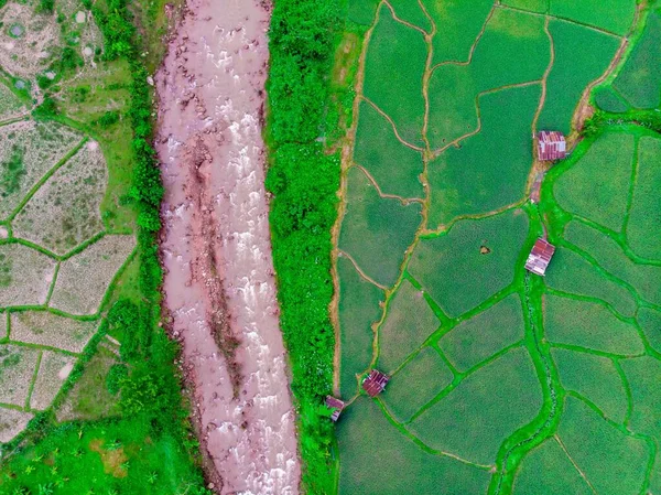 近くに農家や川が流れる水田の空中風景 — ストック写真
