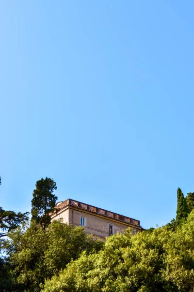 Vista Verticale Edificio Coperto Alberi Verdi Contro Cielo Blu — Foto Stock