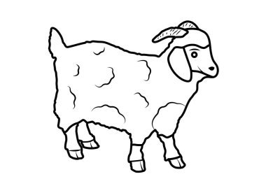 Angora Keçisi, çiftlik hayvanı. Kurban için vektör illüstrasyonu. satır sanatı