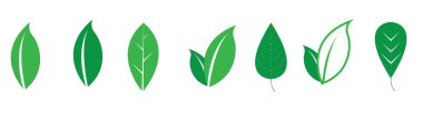Farklı yeşil yaprakların vektör çizimi