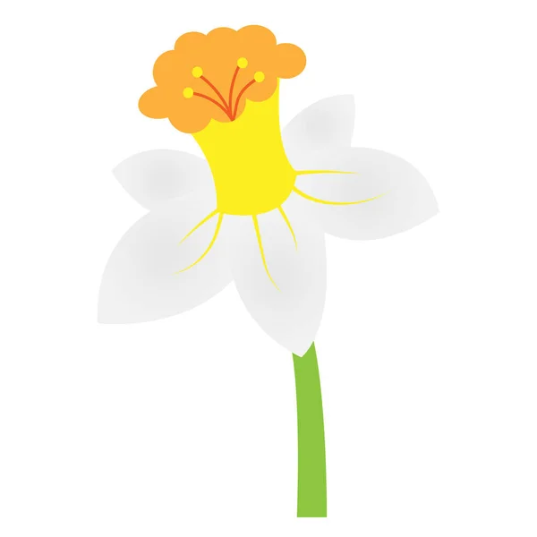 Beyaz Arka Planda Izole Edilmiş Güzel Beyaz Bir Çiçek — Stok Vektör