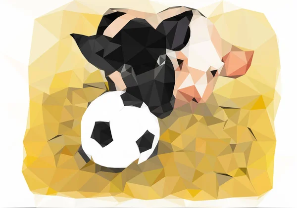 Vector Illustration Low Poly Art Two Pigs Soccer Ball — Stock Vector