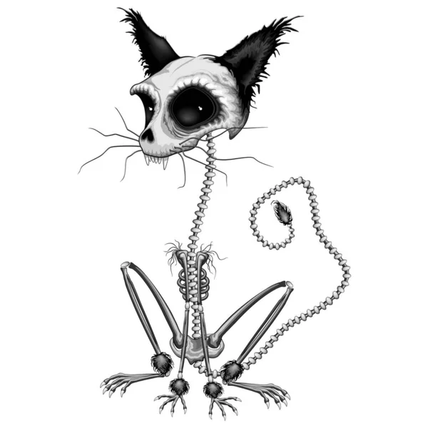不気味な猫のスケルトン 不気味なハロウィンキャラクター ベクトルイラスト — ストックベクタ