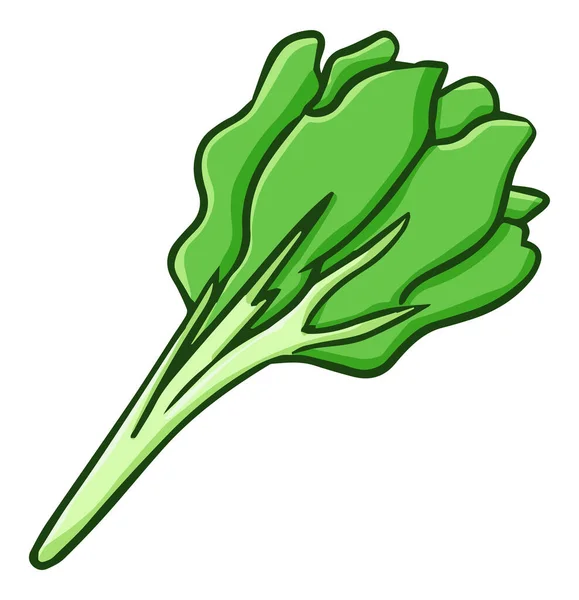 Uma Arte Clipe Simples Folhas Salada Fundo Branco —  Vetores de Stock