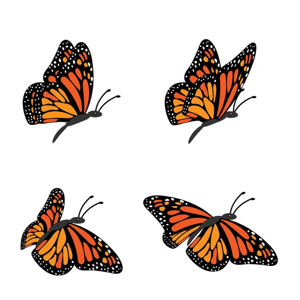 Collage Quatre Papillons Monarques Isolés Sur Fond Blanc — Image vectorielle