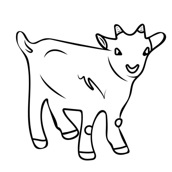 Vector Illustration Des Ziegen Oder Schafsbabys Niedliches Gesicht Für Web — Stockvektor
