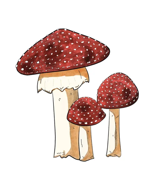 Watercolor Mushrooms Vintage Cottagecore Mushrooms Aesthetic Cottagecore — 스톡 벡터