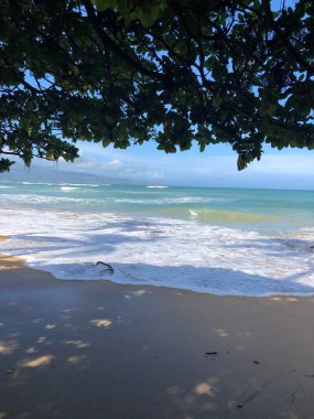 Güneşli bir günde güzel bir kumsal ve ağaç dalları manzarası.