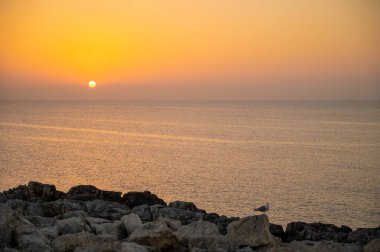 Tremiti adalarında günbatımı kayalıklar, yabani sarımsak çiçekleri ve kristal berrak deniz arasında