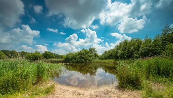 オランダの湖と木々の景色 — ストック写真