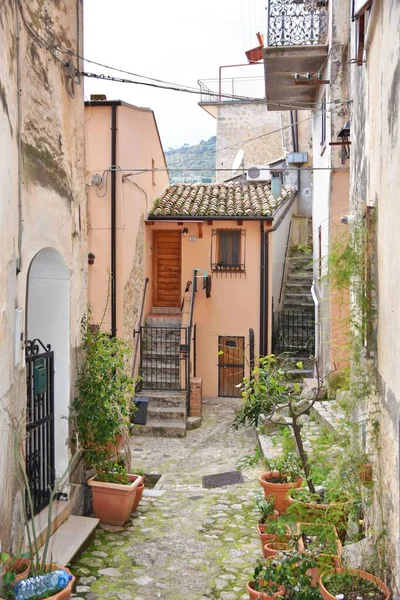 Vue Verticale Une Vieille Rue Étroite Colorée Monte San Biagio — Photo