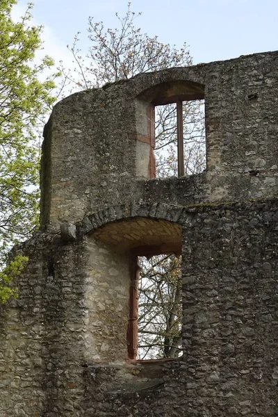 Tiro Vertical Castelo Velho Dia Mola Oppenheim Renânia Palatinate Alemanha — Fotografia de Stock