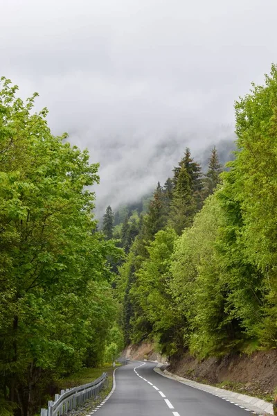 Tiro Vertical Uma Bela Estrada Asfaltada Nas Montanhas Capatyan Romênia — Fotografia de Stock