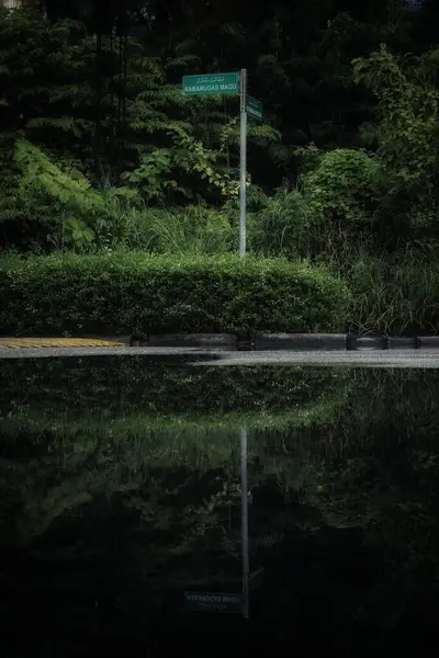 Eine Vertikale Aufnahme Eines Sees Der Das Grüne Schild Einem — Stockfoto