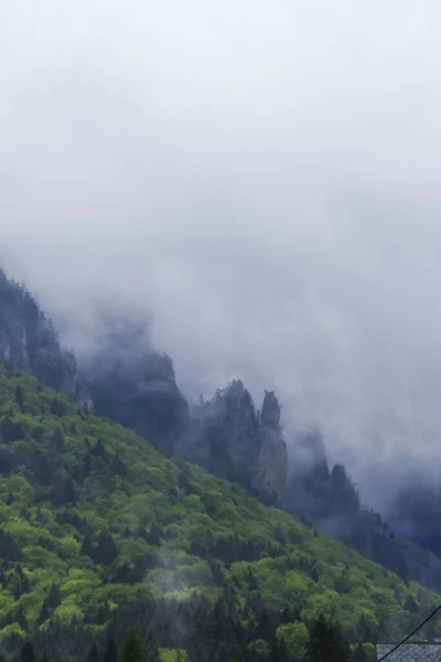 罗马尼亚喀尔巴阡山脉一片被云彩覆盖的森林的垂直照片 — 图库照片