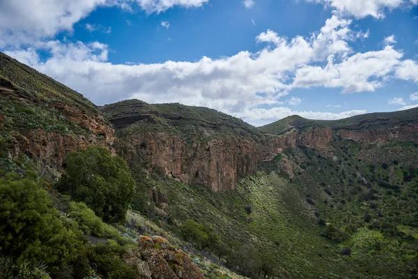 Utsikt Över Caldera Bandama Kanarieöarna Spanien — Stockfoto