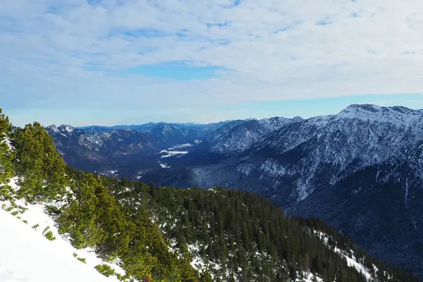 Légi Kilátás Borította Scheinbergspitze Ammergau Alpok Fenyőfákkal Körülvett — Stock Fotó