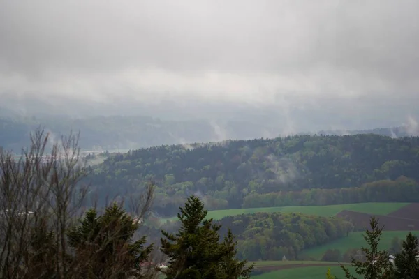 Die Dichten Bäume Wald Unter Einem Bewölkten Himmel — Stockfoto