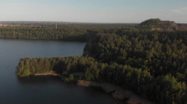 Limburg, Belçika 'daki Hoge Kempen' deki National Park Terhill 'de güzel yeşil bir manzara.