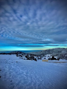 Kırsal kesimdeki bulutlu gökyüzü arka planında güzel karlı bir manzaranın dikey görüntüsü.