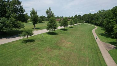 Mavi gökyüzünün altında sıralanmış yüksek ağaçlar ve yürüyen yollar olan güzel bir park.