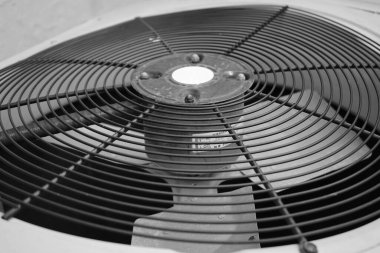 Eski bir sanayi fanatiğinin gri ölçekli yakın çekimi