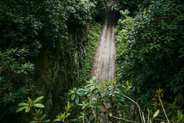 İngiltere 'de Birmingham' daki doğa.