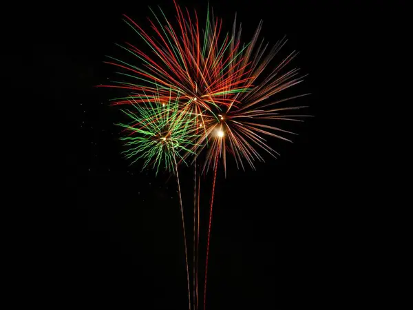 Display Colorful Fireworks Black Sky Background — Stock Photo, Image