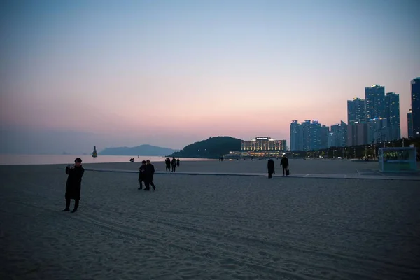 Een Groep Mensen Die Tijdens Zonsondergang Het Zandstrand Lopen Busan — Stockfoto