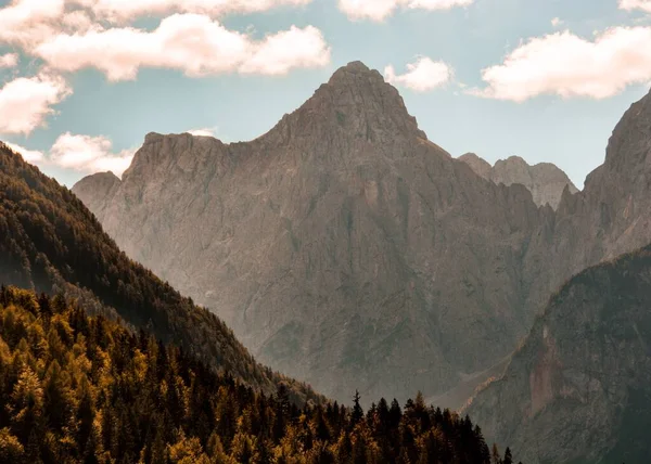 Bel Colpo Montagne Rocciose Con Uno Skyline Una Foresta — Foto Stock