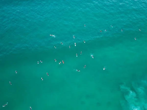 Une Vue Aérienne Drone Des Surfeurs Plage Manly Avec Une — Photo