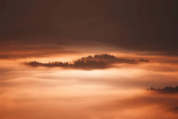 Una Vista Mozzafiato Sulle Colline Boscose Coperte Mare Nuvole All — Foto Stock