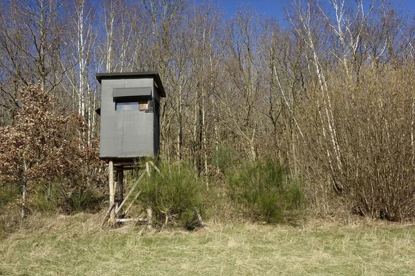 The vertical view of a gray hunting blind against the woods