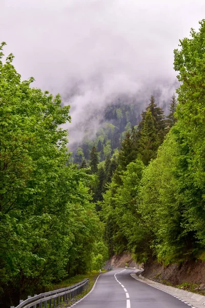 Uma Estrada Nas Montanhas Capatyan Com Céu Nublado Horizonte Romania — Fotografia de Stock