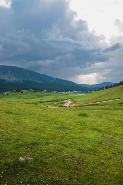 Verdure Entourée Montagnes Gulmarg Jammu Cachemire Inde — Photo