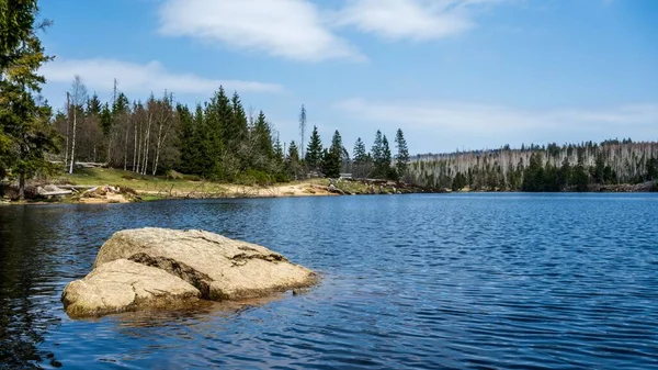 Almanya Oderteich Reservoir Güzel Bir Çekimi — Stok fotoğraf