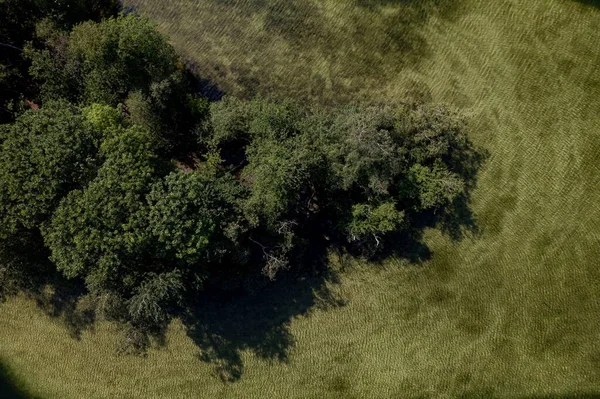 Textura Transparentní Voda Tvoří Sediment Pláž Těsně Pod Povrchem Obklopující — Stock fotografie