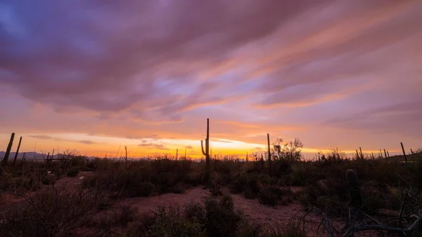 Színes Monszun Felhők Naplemente Után Saguaro Nemzeti Park Felett Nyugatra — Stock Fotó