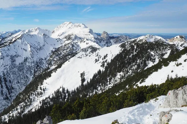 Letecký Pohled Zasněžené Scheinbergspitze Ammergau Alpy Obklopené Borovicemi — Stock fotografie