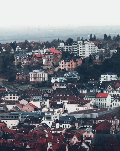 Eine Vertikale Aufnahme Der Schönen Architektur Von Neustadt Deutschland — Stockfoto