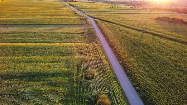 Een Rechte Weg Landbouwveld Het Platteland — Stockfoto