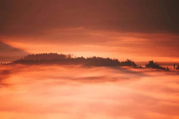 Een Adembenemend Landschap Van Bomen Bedekt Door Wolken Het Gouden — Stockfoto