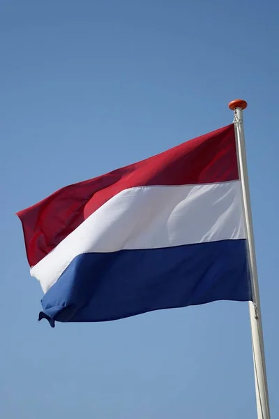 Вертикальний Макет Національного Прапора Нідерландів Проти Синього Неба — стокове фото
